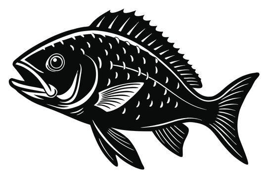 Beautiful fish snapper fish silhouette black vector illustration