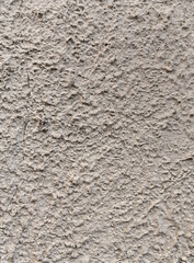 Fototapeta premium textured surface of rough cement wall 