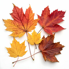 Obraz premium Dried Leaves in Autumn Colors, Capturing the Essence of Nature,