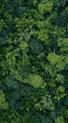 Naklejka premium Lush green foliage wall, various plants, textured background, natural backdrop, botanical pattern.