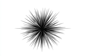 Fototapeta premium Abstract black starburst on white background. Simple, graphic design element