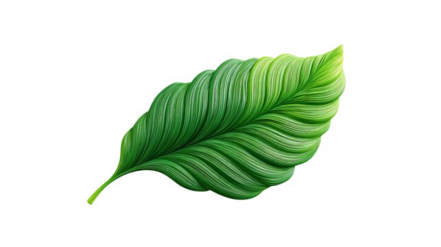 Detailed green leaf with soft shading and delicate lines