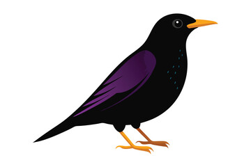 a--starling-vector-art-illustriton-white-baground.eps