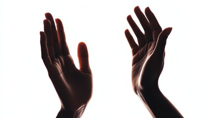 Obraz premium Two Hands Reaching Up Silhouette on White Background with Soft Lighting