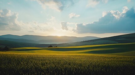 Obraz premium Golden field sunset over rolling hills