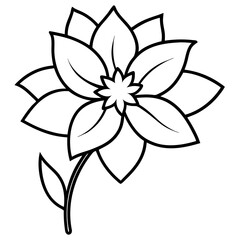 black and white flower