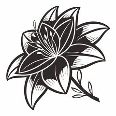 black and white flower