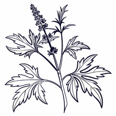 black and white flowers
