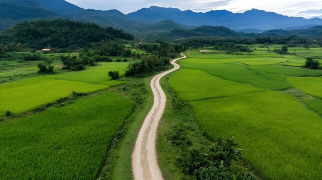 Picturesque winding dirt road through vibrant green rice fields with mountains in the distance : Generative AI