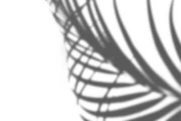 Organic Shadow Overlay