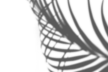 Organic Shadow Overlay