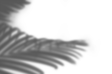 Organic Shadow Overlay