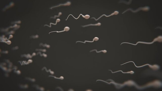 Sperm cells traveling video in HQ | Animation Video of Sperm cells traveling in HD