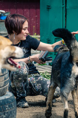 Dog in the shelter. Animal shelter volunteer takes care of dogs.