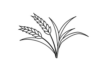 Line art illustration of a rice plant.eps