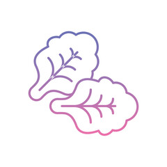 Kale Icon vector stock illustration