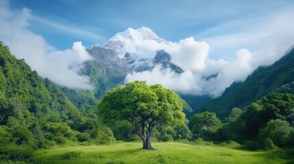 Obraz premium Lush mountain valley with a solitary tree under a vibrant sky