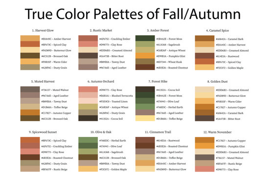 Colour Swatches Combinations 12x6 True Colors of Fall or Autumn - 3d Light Soft, Muted, Pastel Tones - with HEX Codes and Names, Color Palette, Scheme, Chart
