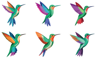 Fototapeta premium Hummingbird isolated on white background