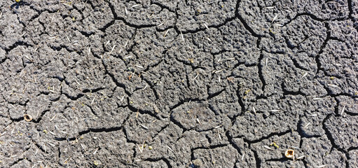 Abstract background of dried and cracked soil