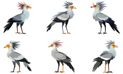 Set of Secretary bird isolated on white background