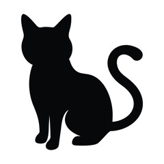 black and white cat