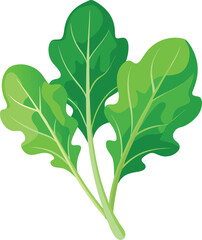 Arugula