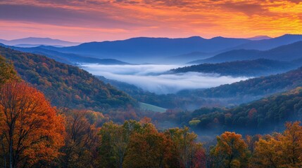 Naklejka premium Autumnal mist blankets the Appalachian Mountains at dawn.
