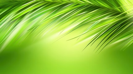 Obraz premium Lush green palm fronds extend from the top of the frame, creating a vibrant, tropical background with bright light adding a refreshing summer vibe to the scene.