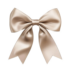 satin ribbon bow elegant