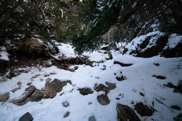 Tateshina mountain at the north edge of the Yatsu-gatake mountains
