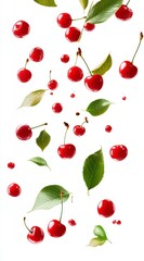 Falling Red Cherries and Green Leaves on White