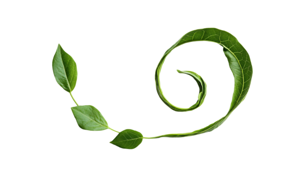 A glowing spiral icon with smooth curves symbolizing evolution and advancement Isolated on transparent background.