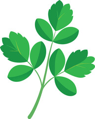 Fenugreek leaves (methi)