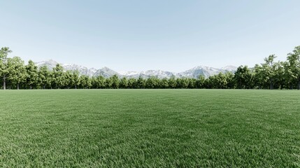 Obraz premium Vast grassy field, dense forest, distant snow-capped mountains. Tranquil, serene landscape