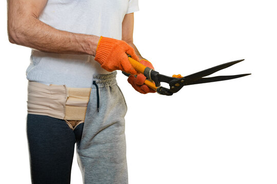 Closeup photo of man wearing inguinal hernia bandage holding gardening shears on white background. Man with abdominal dressing, balancing work and household duties