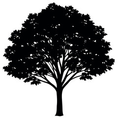 Fototapeta premium A crepe-myrtle-tree-silhouette-vector-illustration 
