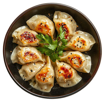 Extreme top view of an extremely perfect looking Khanom Jeeb (Thai Dumplings) in a dark porcelain plate isolated on a white transparent background.