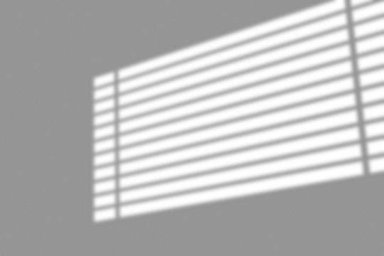 Bleeding Light Window Shadow Overlay