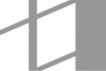 Dark View Window Shadow Overlay