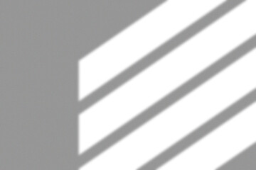 Shadowglass Reflection Window Shadow Overlay