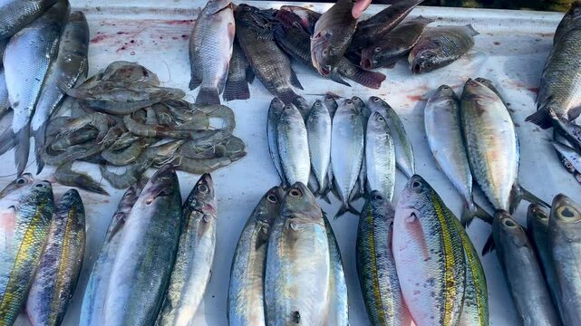 close up of a fish seller cleaning the fish he is selling