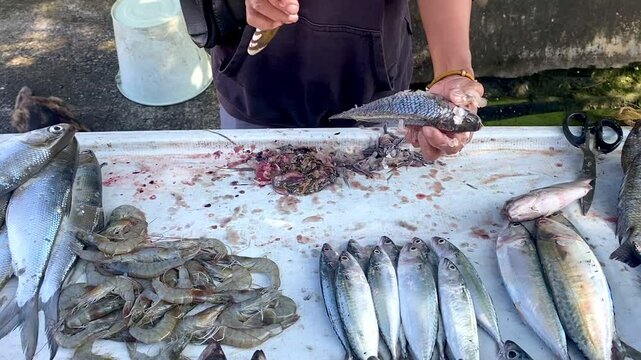 close up of a fishmonger's hand cleaning fish scales