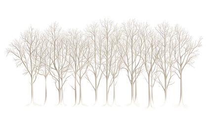 Obraz premium Winter Forest Landscapes with Snow and Bare Trees