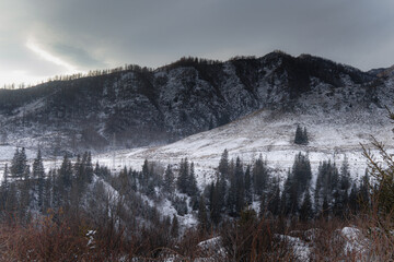 winter in the mountains, nature photography
