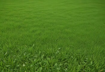 Obraz premium Photorealistic lawn edge, vector, fresh green, seamlessly repeatable , ecology, fresh, realistic