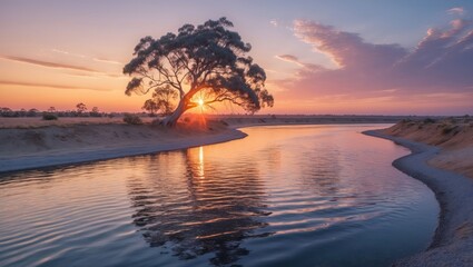 Tree and river at sunset