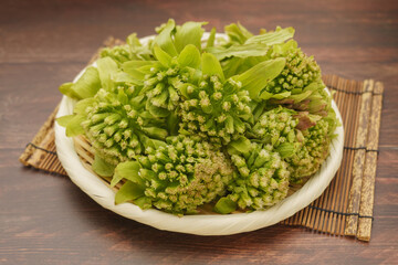 フキノトウ(蕗の薹)