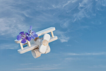 Wooden toy biplane with flowers in sky for wedding travel theme © IrinaK