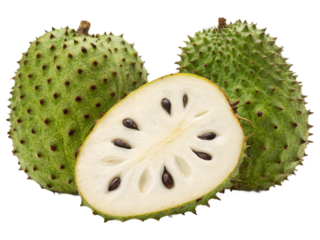Soursop (Graviola) fruit isolated on white background. Suitable for marketing or business purposes. PNG file